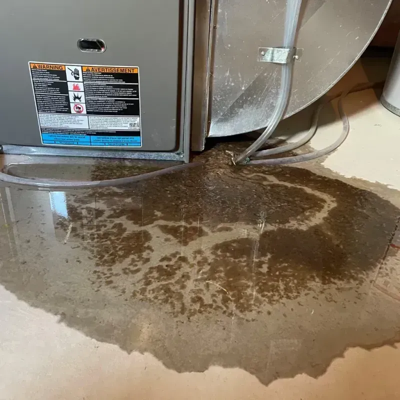 Appliance Leak Cleanup in Plattsmouth, NE